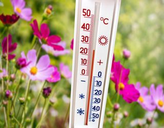 Frühsommer in Sicht: Bekommen wir in Deutschland schon bald 25°C? 