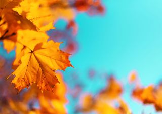 Wieder 25°C in Deutschland: Dank ex-Hurrikan Ian Sommer mitten im Oktober!