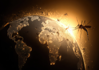 Sommerhitze bringt Tropenkrankheit nach Europa: Tigerm&uuml;cken &uuml;bertragen Chikungunya &ndash; Forscher warnen vor Gefahr