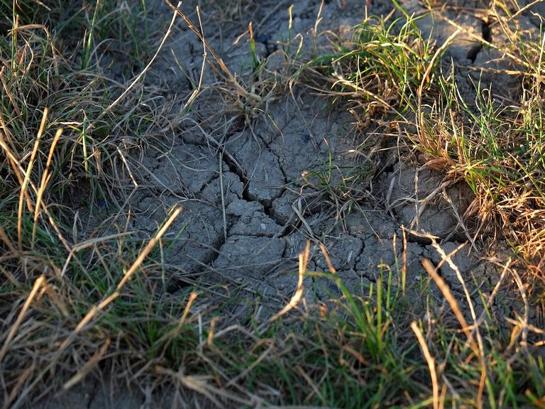 Trockenes Sommerwetter Trockenes Sommerwetter