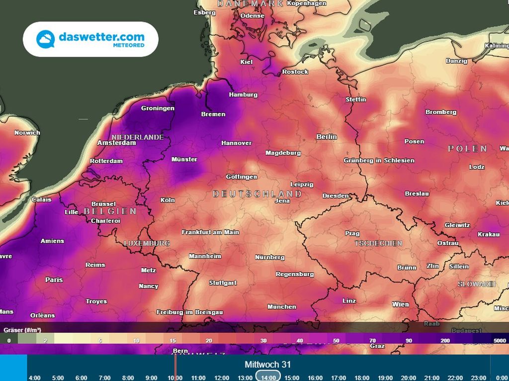 pollen, deutschland, allergiker pollen, deutschland, allergiker