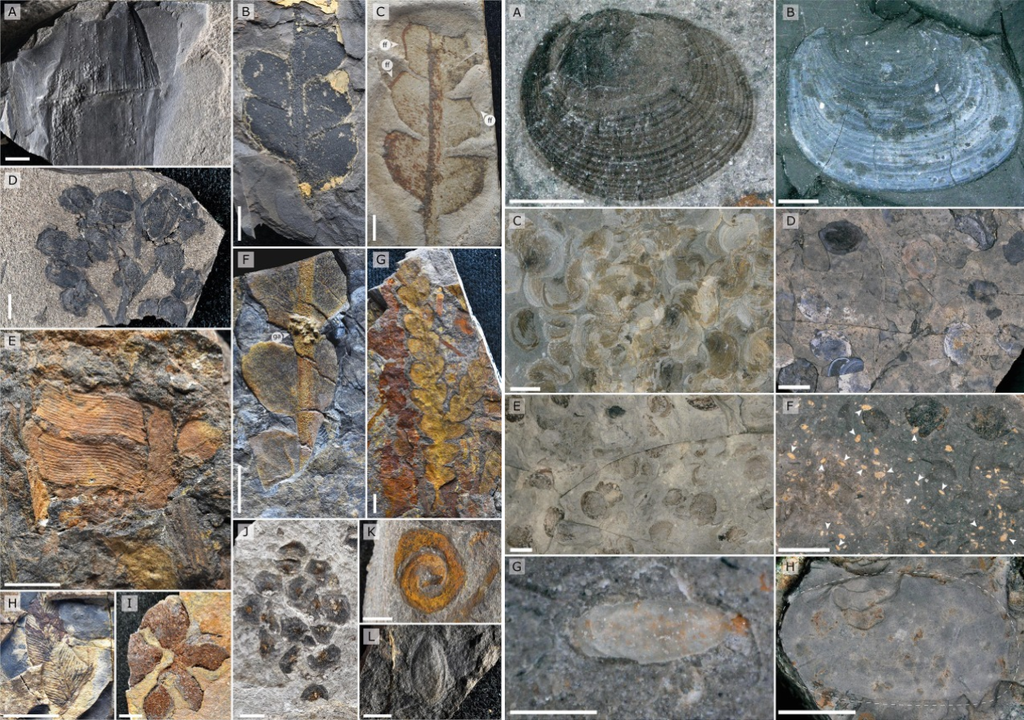 Desierto de Atacama en el período Triásico, Meteored, Chile Desierto de Atacama en el período Triásico, Meteored, Chile