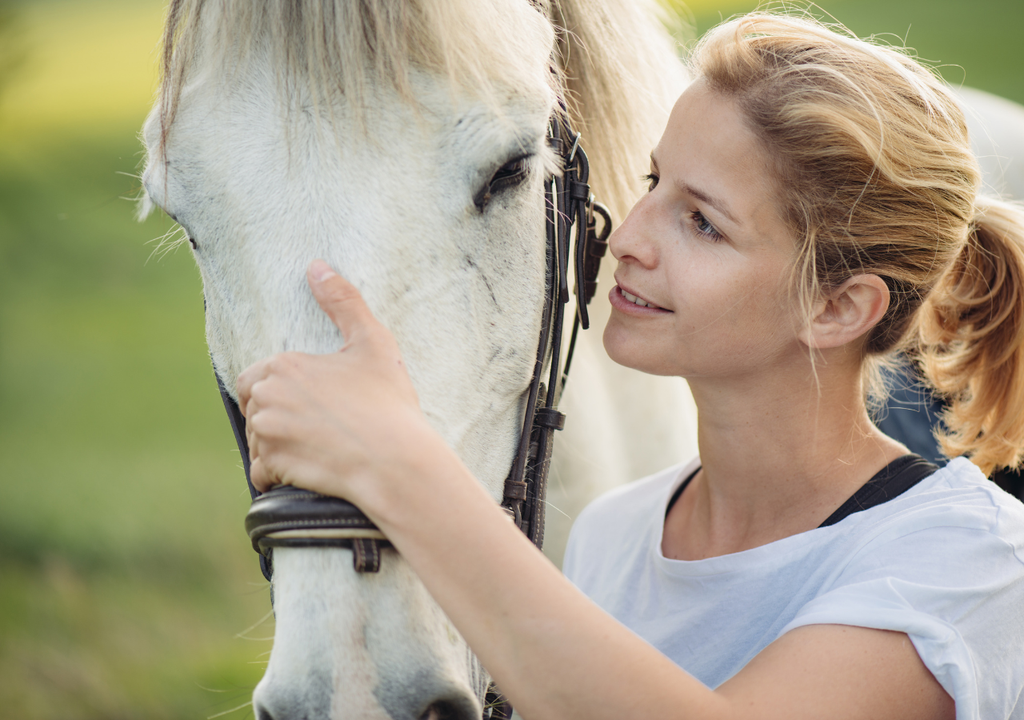 Caballos puede oler el miedo de los seres humanos Se cree que la domesticación de los caballos pudo influir en esta conducta.