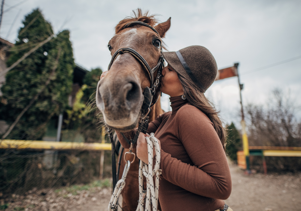 Los caballos puedes detectar el miedo humano Si te vas a acercar a un caballo, es mejor hacerlo con buen ánimo.
