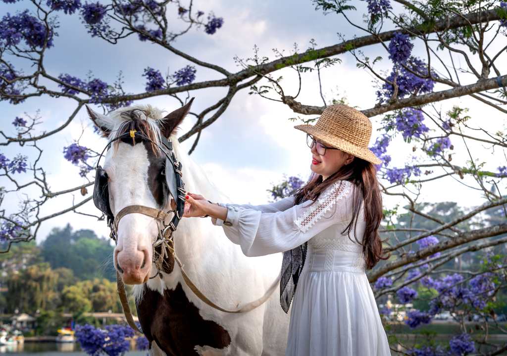 Los caballos detectan el miedo humano Todavía hay interrogantes de la capacidad sensitiva de los caballos.