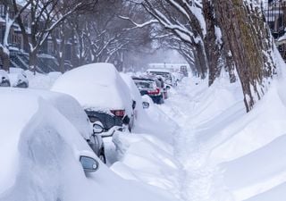 Sorprendente paradoja en el hemisferio norte: se observa la menor extensión de hielo ártico, pero más nieve de lo normal