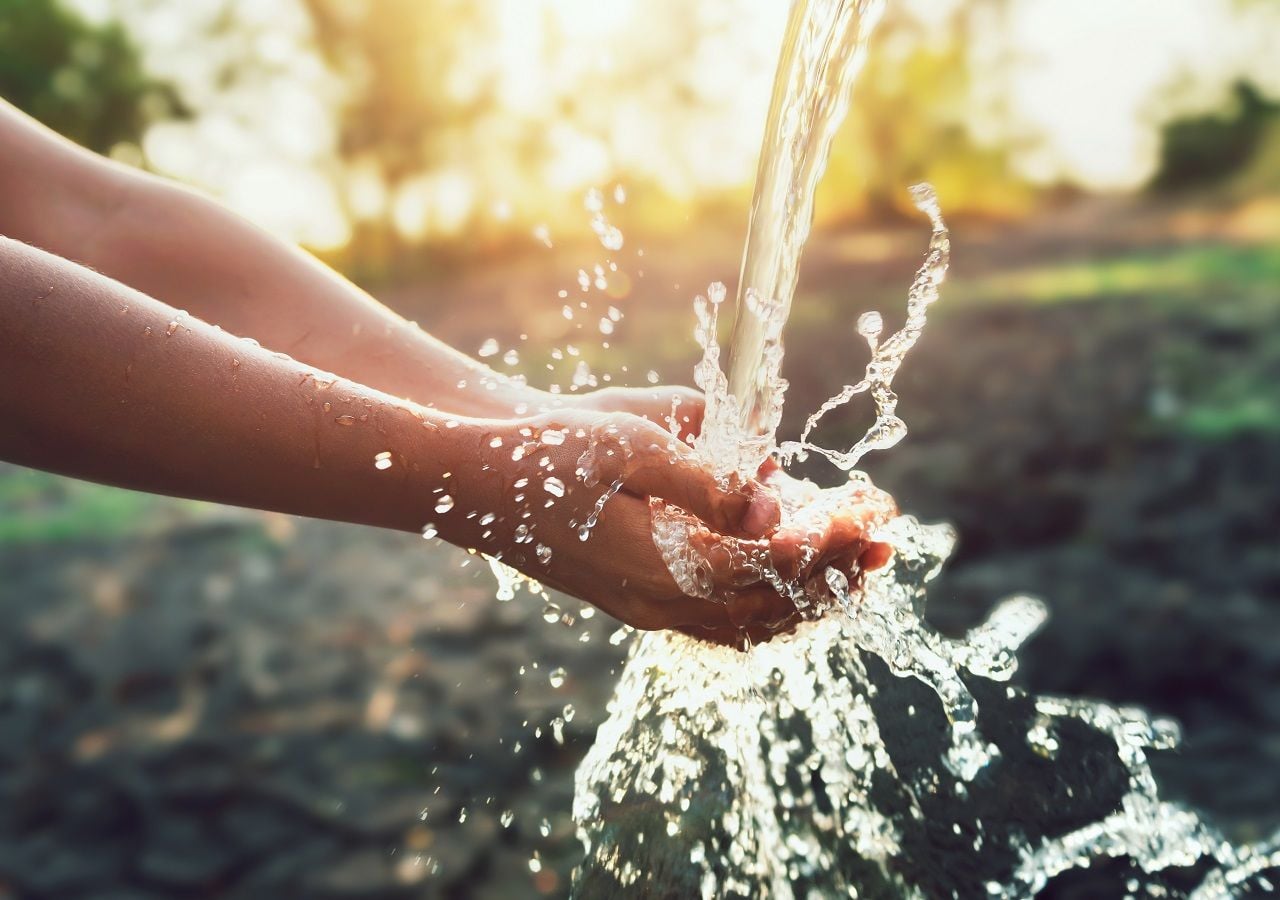 El agua es parte de nuestro cuerpo, de las plantas, animales y entorno. Sin agua no podemos vivir.