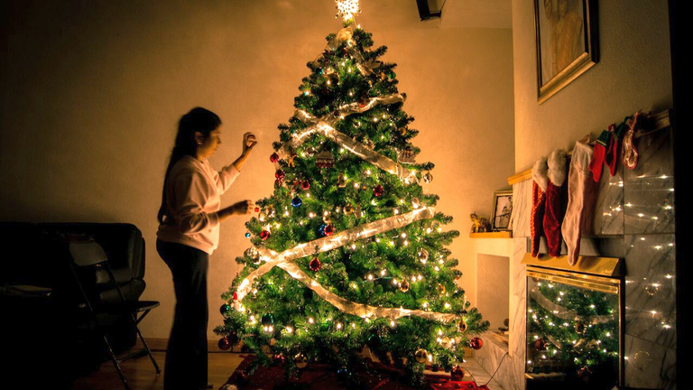 Evaluando la sostenibilidad de los &aacute;rboles de Navidad reales y artificiales. &iquest;Cu&aacute;l comprar?