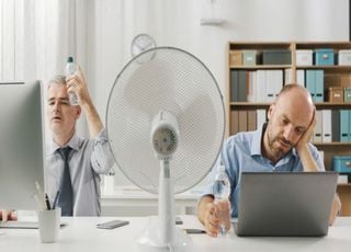 Sous la canicule, le thermomètre ne dit pas tout...alors, où se cache le vrai danger ?