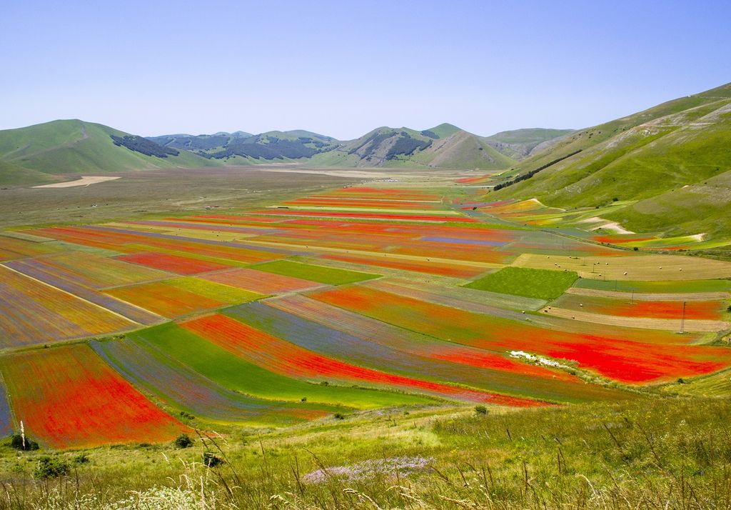 fioritura castelluccio