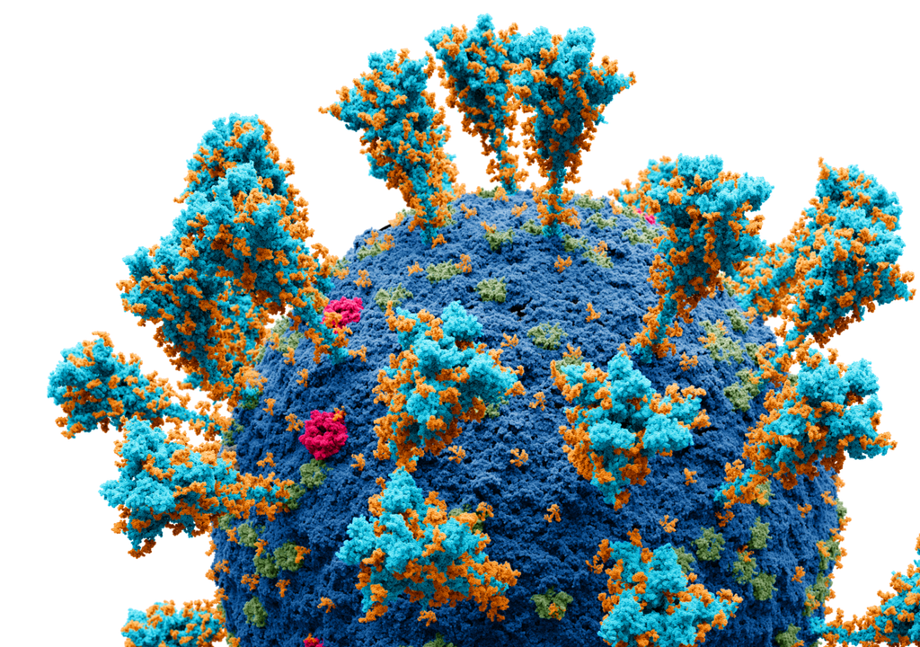 Atommodell des Coronavirus