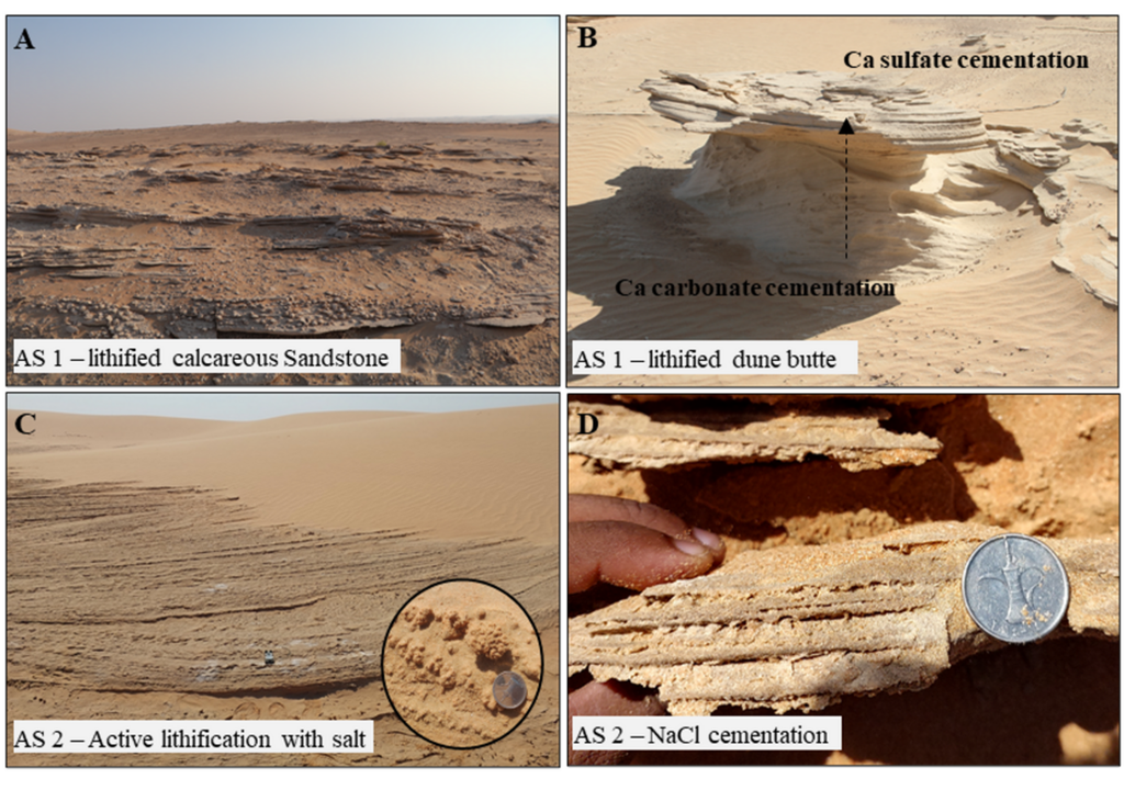 Dunas petrificadas en diversas ubicaciones de la Tierra: (a) enriquecimiento de concreciones y cementación con sulfato de calcio, (b) capas fusionadas de una duna inferior, cementada con carbonato de calcio y erosionada, y una cementación superior de carbonato de calcio y sulfato de calcio bien conservada y resistente a la erosión, (c) petrificación activa de dunas y migración de dunas resultante de la petrificación de dunas húmedas, (d) duna poco petrificada cementada con NaCl