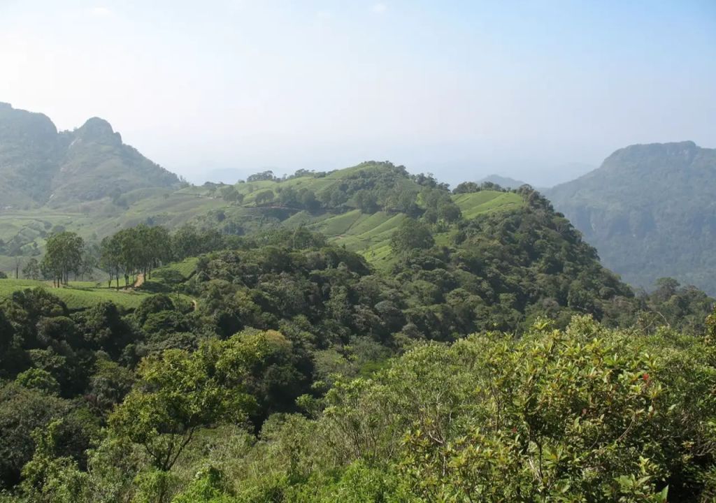 Landscape view of Halgolla