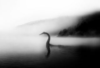 Il mostro di Loch Ness esiste? Ecco cosa dice la scienza alla vigilia della più grande spedizione in 50 anni