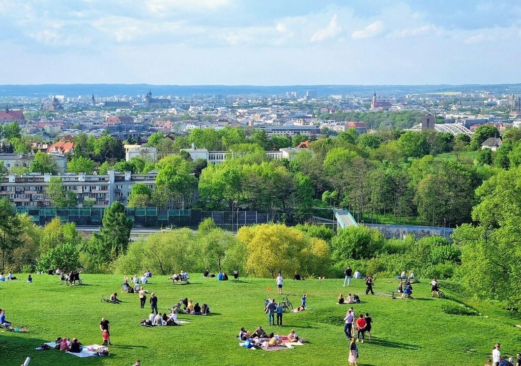 Stadtparks sollen der Erholung dienen, doch für Allergiker können sie im Frühjahr und Sommer oft zur Pollenfalle werden. Bild: Serhii Vasylenko/Unsplash
