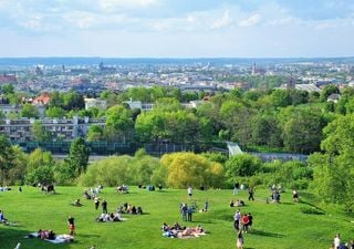 Stadtgr&uuml;n: Heilung oder Heuschnupfen? Das steckt wirklich hinter der Pollenbelastung in St&auml;dten