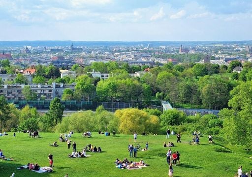 Stadtgr&uuml;n: Heilung oder Heuschnupfen? Das steckt wirklich hinter der Pollenbelastung in St&auml;dten