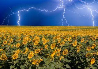 Achtung Startschuss neue Jahreszeit und Hitzestau in Deutschland! Der Hochsommer kapert den Herbst und frisst sich fest!