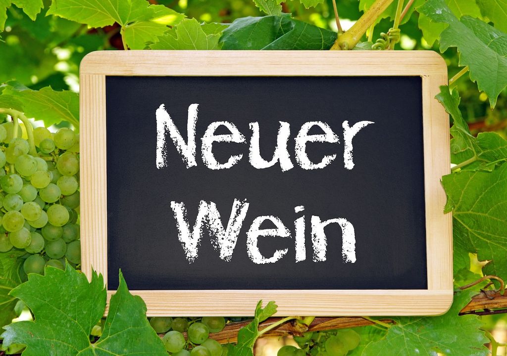 Ernte, Federweißer, Flaschengährung Ernte, Federweißer, Flaschengährung