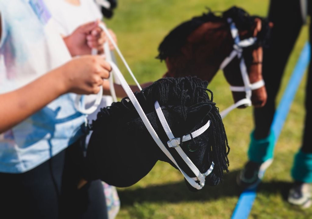 Steckenpferde, Reiten, Disziplinen