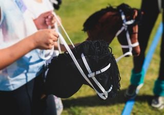 Steckenpferde in Action: Hobby Horsing erobert Deutschland – Wo die Freude im Sattel sitzt