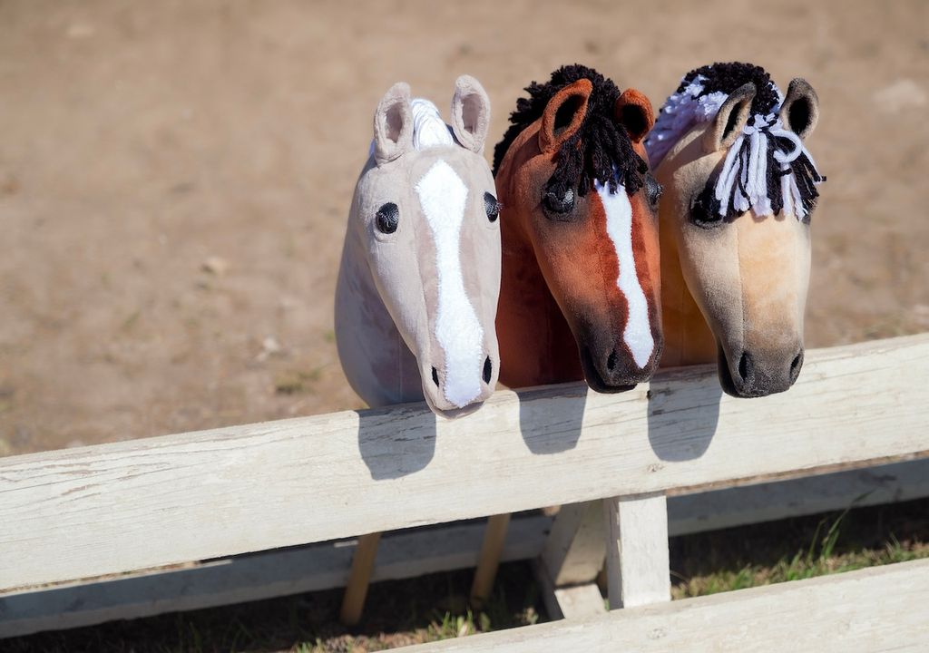 Deutsche Hobby Horsing Verband e.V., Gründung