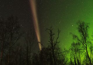 “Steve” appeared in UK skies last night with the aurora