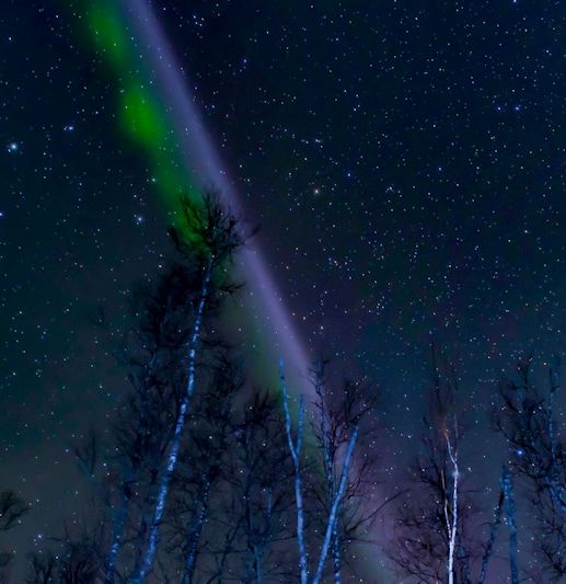 Steve No Es Una Aurora Steve No Es Una Aurora
