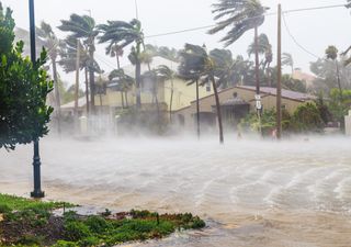 Storm Elsa bears down on Florida after destruction in Caribbean