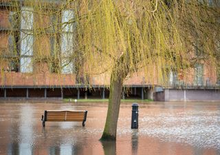 Storm Henk kills and triggers hundreds of flood warnings after extreme winds