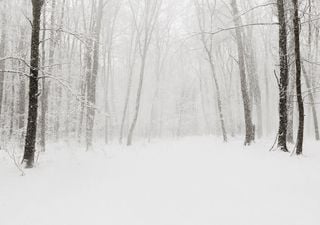 Stratwarming in arrivo, gelo e neve sull'Italia a fine gennaio?