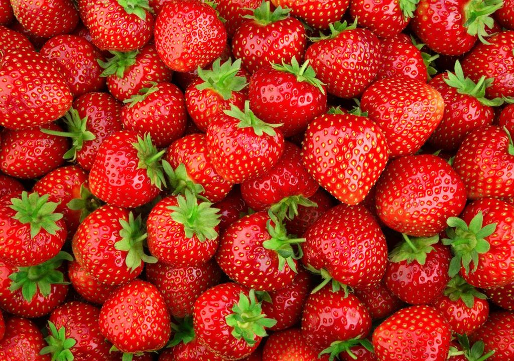 La recherche suggère d'incorporer des fraises dans votre alimentation quotidienne comme collation, dans des céréales, des salades ou des smoothies pourrait contribuer à vous protéger contre la maladie d'Alzheimer.