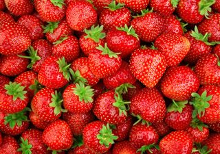 Et si les fraises offraient une protection contre la maladie d'Alzheimer ?