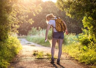 Ecco perché le zanzare sono attratte da alcune persone più di altre