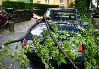 Warnung: Bekommen wir nächste Woche einen heftigen Herbststurm?