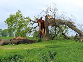 Sturm Mortimer rauscht über Deutschland!