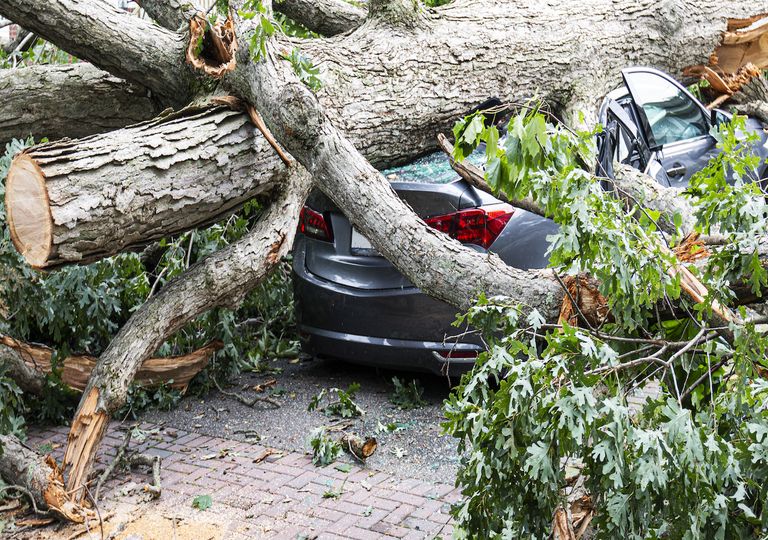 Sturmgefahr dauert an Sturmgefahr dauert an