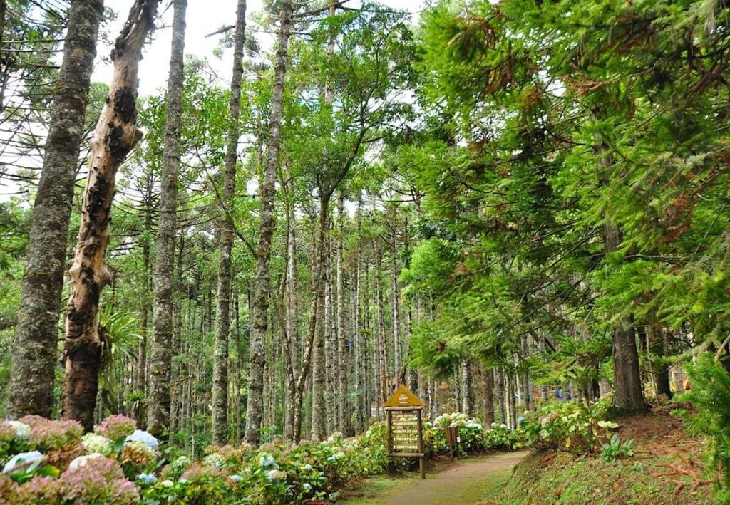 Parque Oschin, Monte Verde (MG)