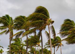 Sul do Brasil sob alerta de rajadas de vento de até 80 km/h já no início da semana; veja os detalhes do alerta