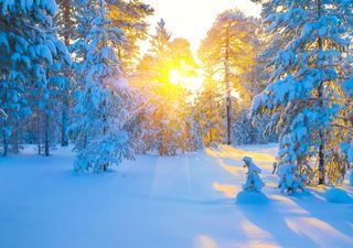 Sull'Artico si struttura il vortice polare, quale impatto nelle prossime settimane e sull'inverno venturo?