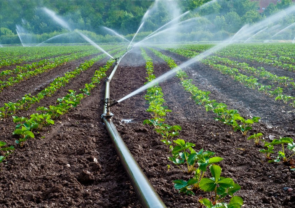 Agricultura; uso de agua Agricultura; uso de agua