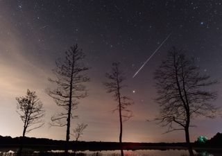 Summer meteor showers: the Delta Aquariids and Perseids