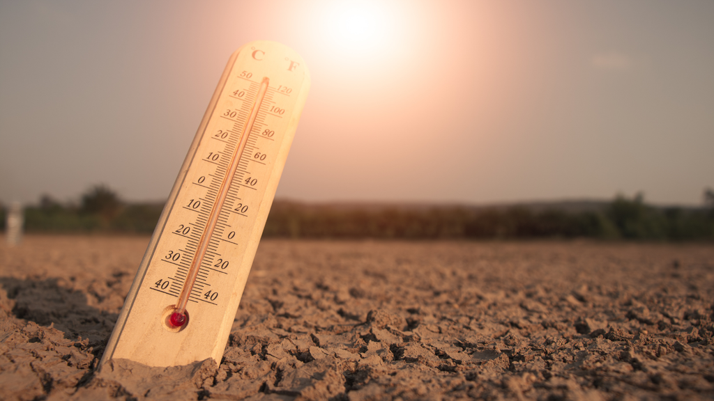 agricultura; pronostico; ENOS; Mexico En contraste, para primavera, Cortés advierte posibles sequías y olas de calor, especialmente hacia el sur del país.