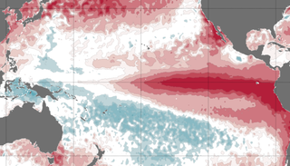 El fen&oacute;meno del super El Ni&ntilde;o alcanza un r&eacute;cord de 3,4 &deg;C: "nunca se hab&iacute;a observado algo as&iacute; en la serie hist&oacute;rica"