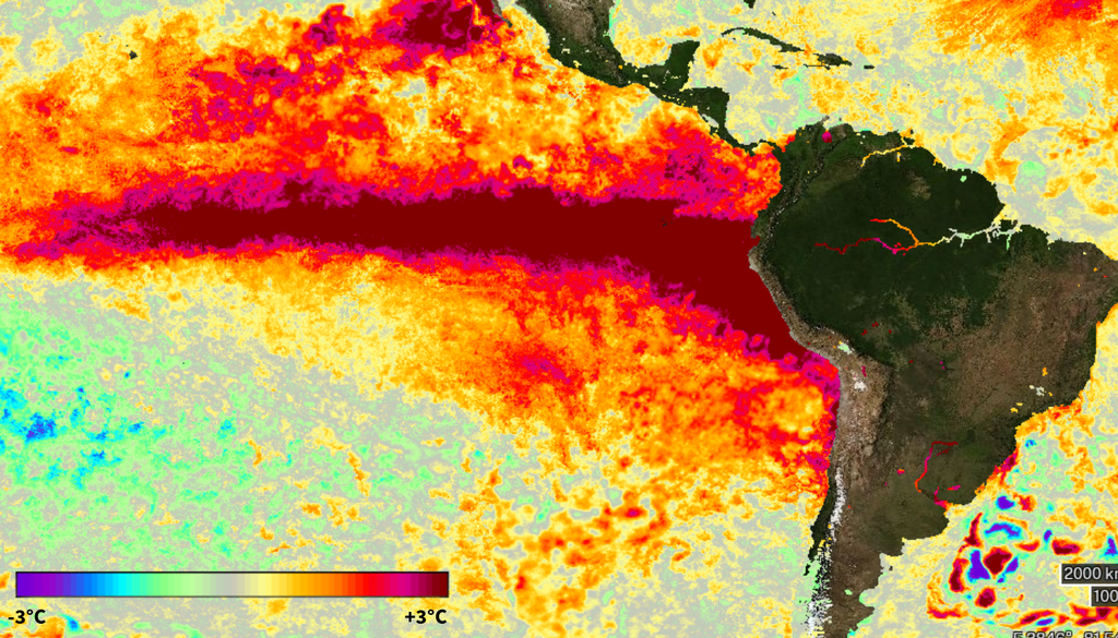 Anomalias diárias (09/10/2026) mostram uma extensa área com anomalias superiores a 3°C no Pacífico Central e Leste. Créditos: Meteored/Adaptado de NASA worldview.