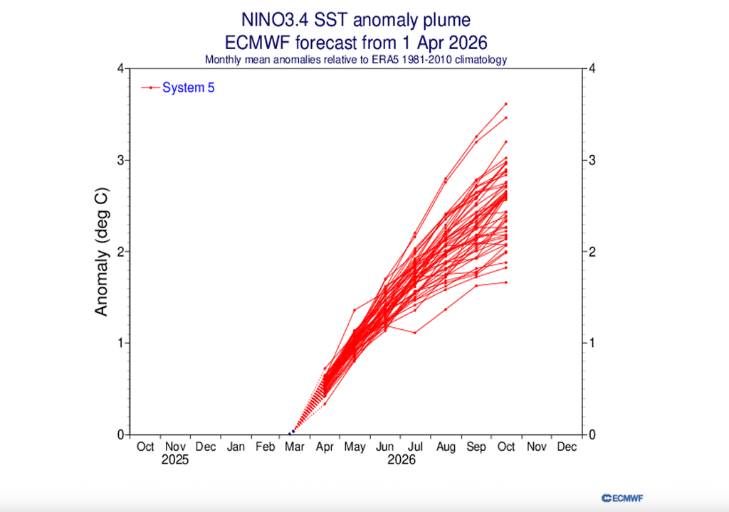 il prodotto ECMWF sul Plume degli scenari Ensemble de El Niño non lascia dubbi, il fenomeno è virtualmente certo e ci sono probabilità medio alte che sia in versione Super
