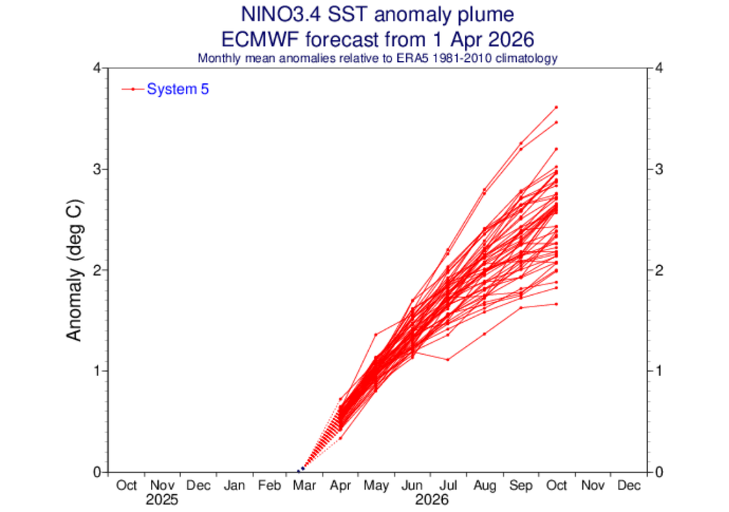 Pluma de previsão de anomalia de TSM dos membros do modelo EMCWF para a região do Niño 3.4. Créditos: ECMWF.