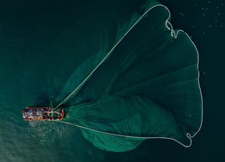 Surpêche : ce que la finance nous a appris... mais que nous n'appliquons pas à la nature