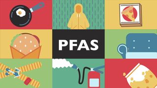 Os cientistas confirmam que os produtos químicos permanentes PFAS são absorvidos pela pele humana!