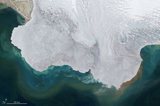 Las heladas islas Svalbard del lejano Ártico se deshielan por una ola de calor histórica en el verano de 2024